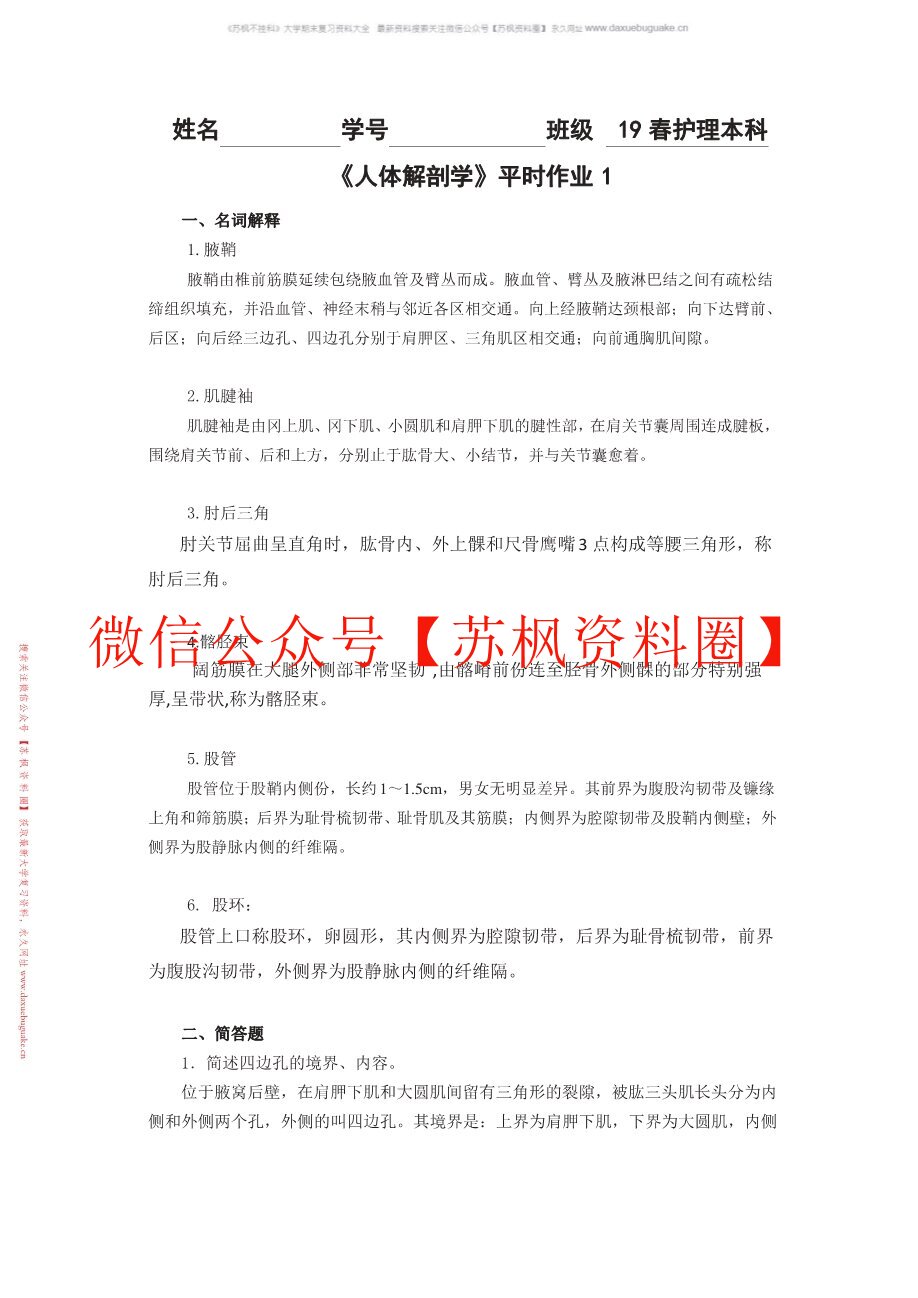 人体组织解剖学